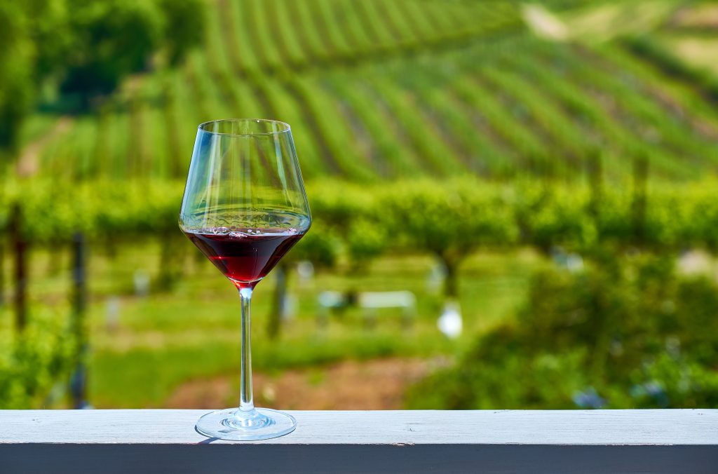 Wine,Tasting,In,California.,Glass,Of,Red,Wine,And,Vineyards.